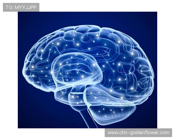 心理学教授霍克解读逆转魅力：激活大脑奖赏回路，多巴胺分泌堪比中彩票