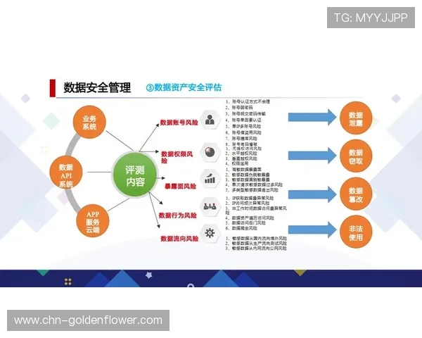 智能化推进阶段内自动化审核模块接入 确保了体育数字资产体系的合规流转